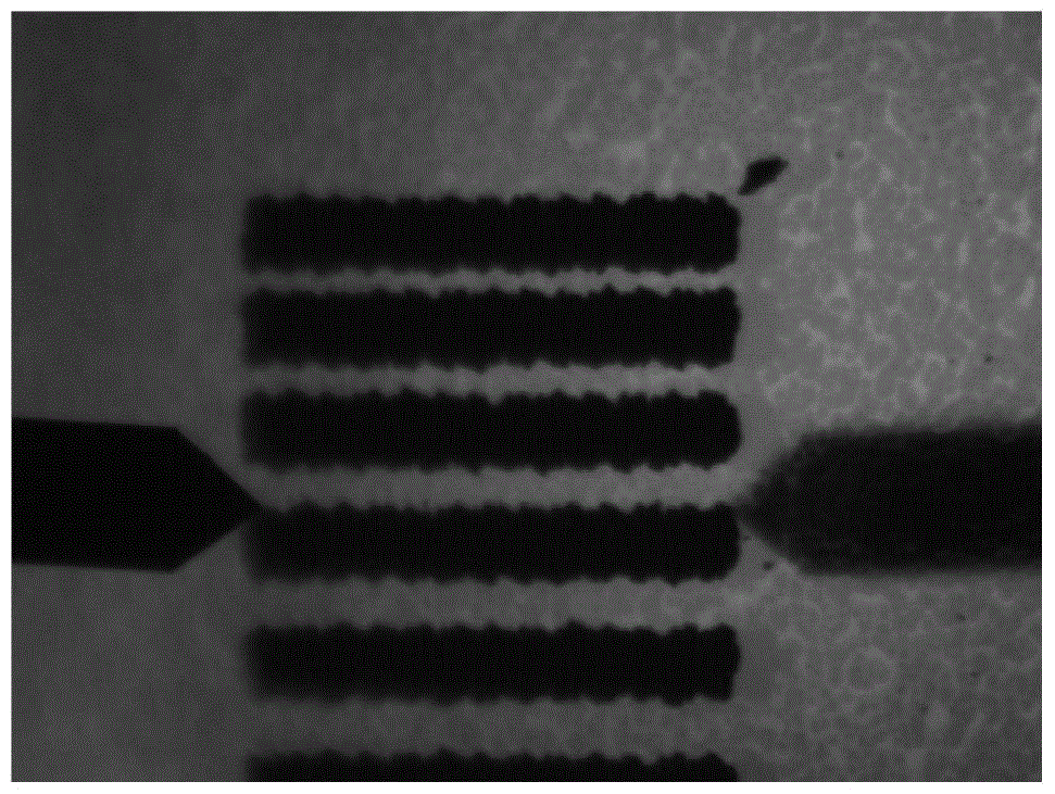 A kind of dual-functional conductive silver paste for touch screen and its preparation method and application