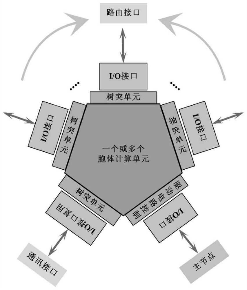 Embedded modular nerve nucleus simulation platform based on ARM (Advanced RISC Machines)