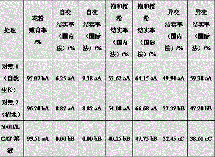 Chemical regulation method to maintain complete abortion of thermosensitive genic male sterile wheat bns male sterile line