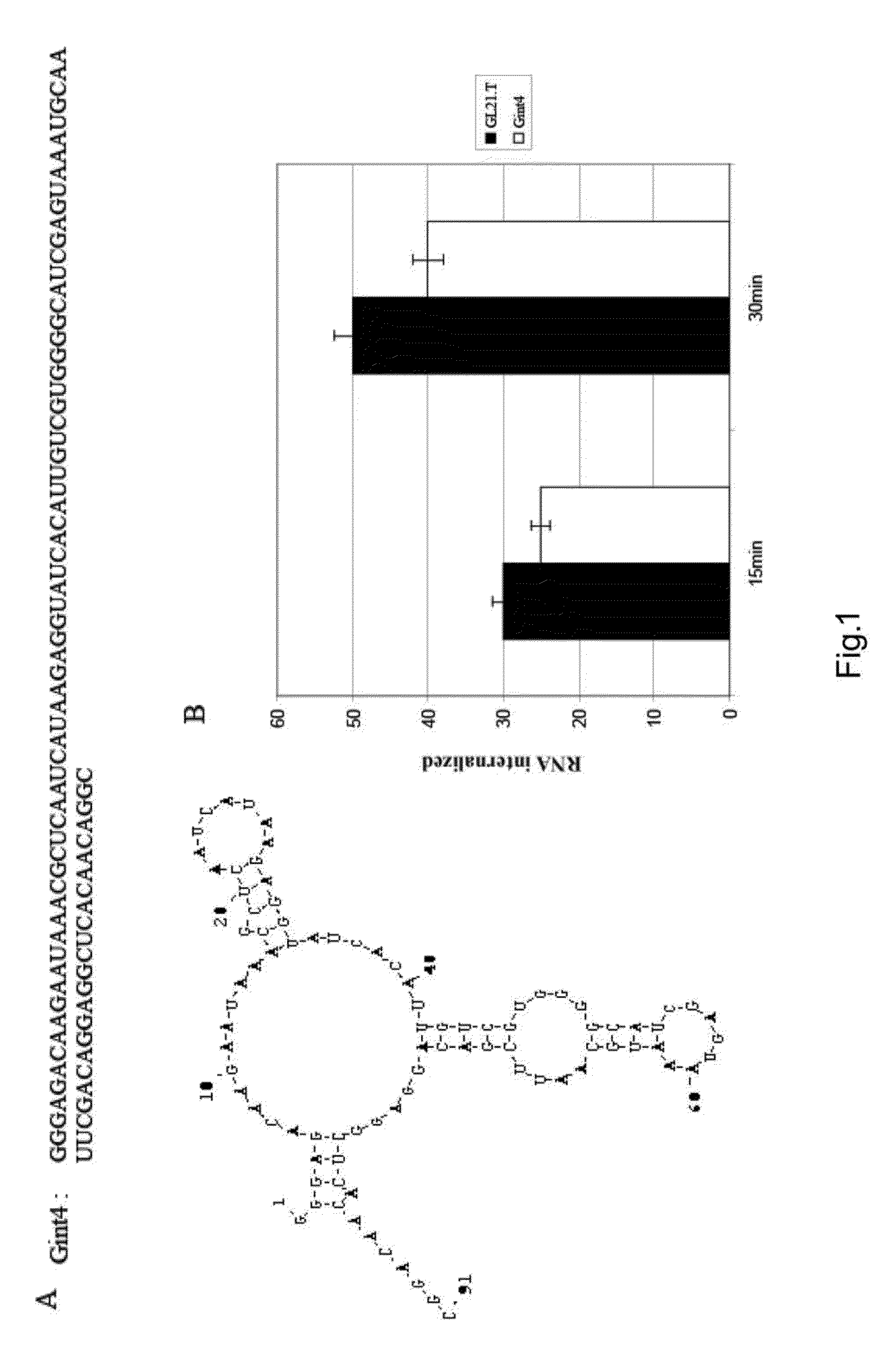 Neutralizing RNA aptamers