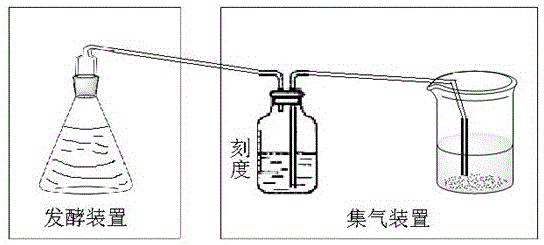 Method for producing biogas from vinasse by high-temperature anaerobic fermentation