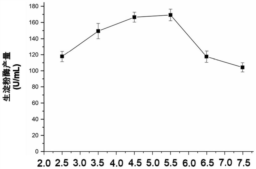 Penicillium oxalicum mutant strain a2-13 and its application in preparation of raw amylase preparation and degradation of raw starch