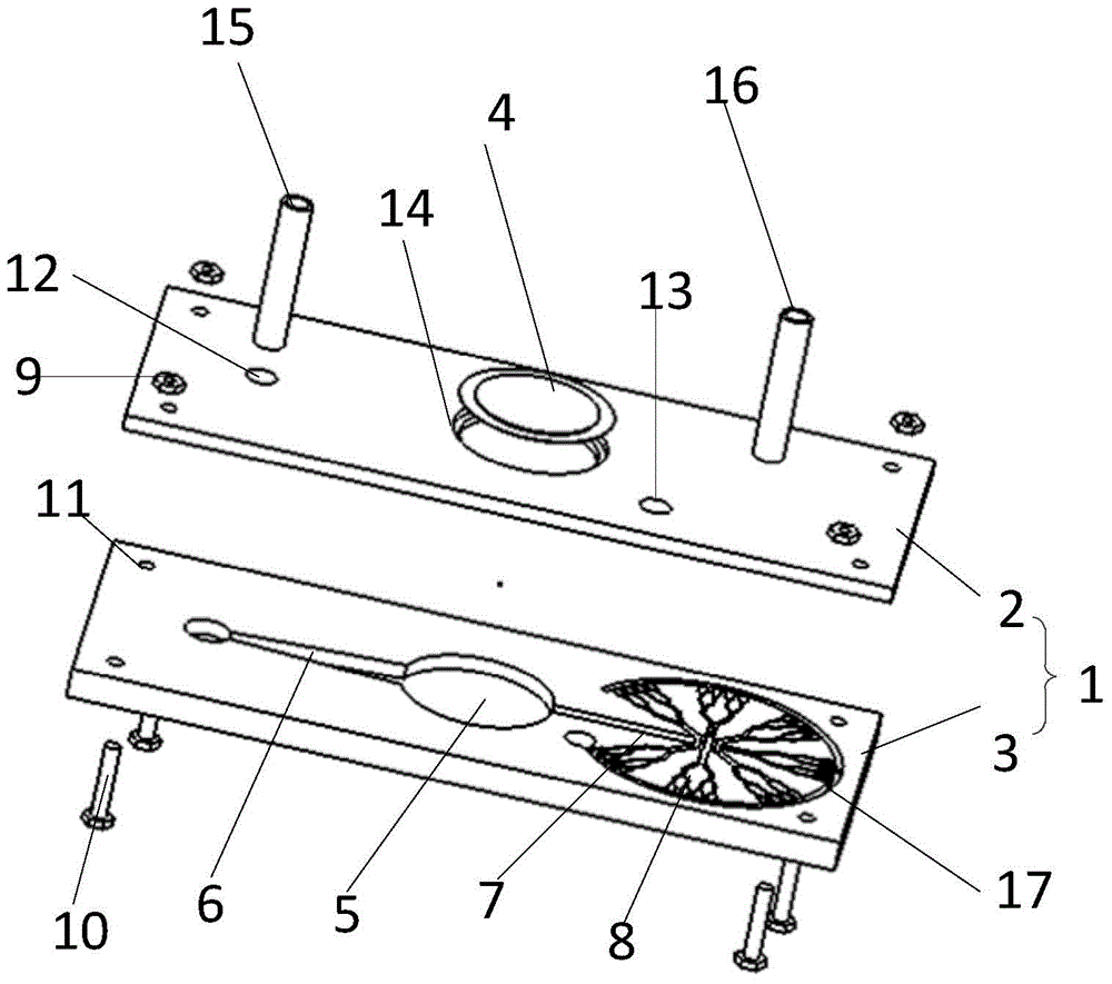 Valveless piezoelectric pump of asymmetrical tree-shaped fractal flow pipe