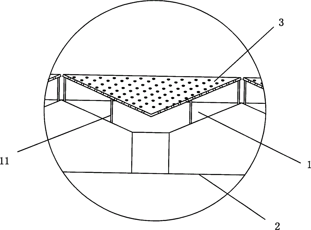 Mixed ecological culture method of Penaeus vannamei Boone