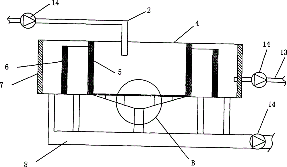 Mixed ecological culture method of Penaeus vannamei Boone