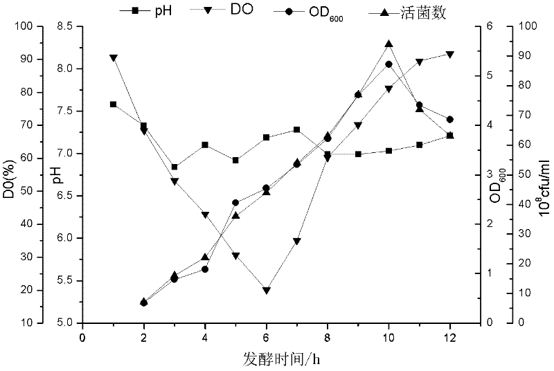 Actinobacillus pleuropneumoniae serotype 2 bacterial strain and its preparation method