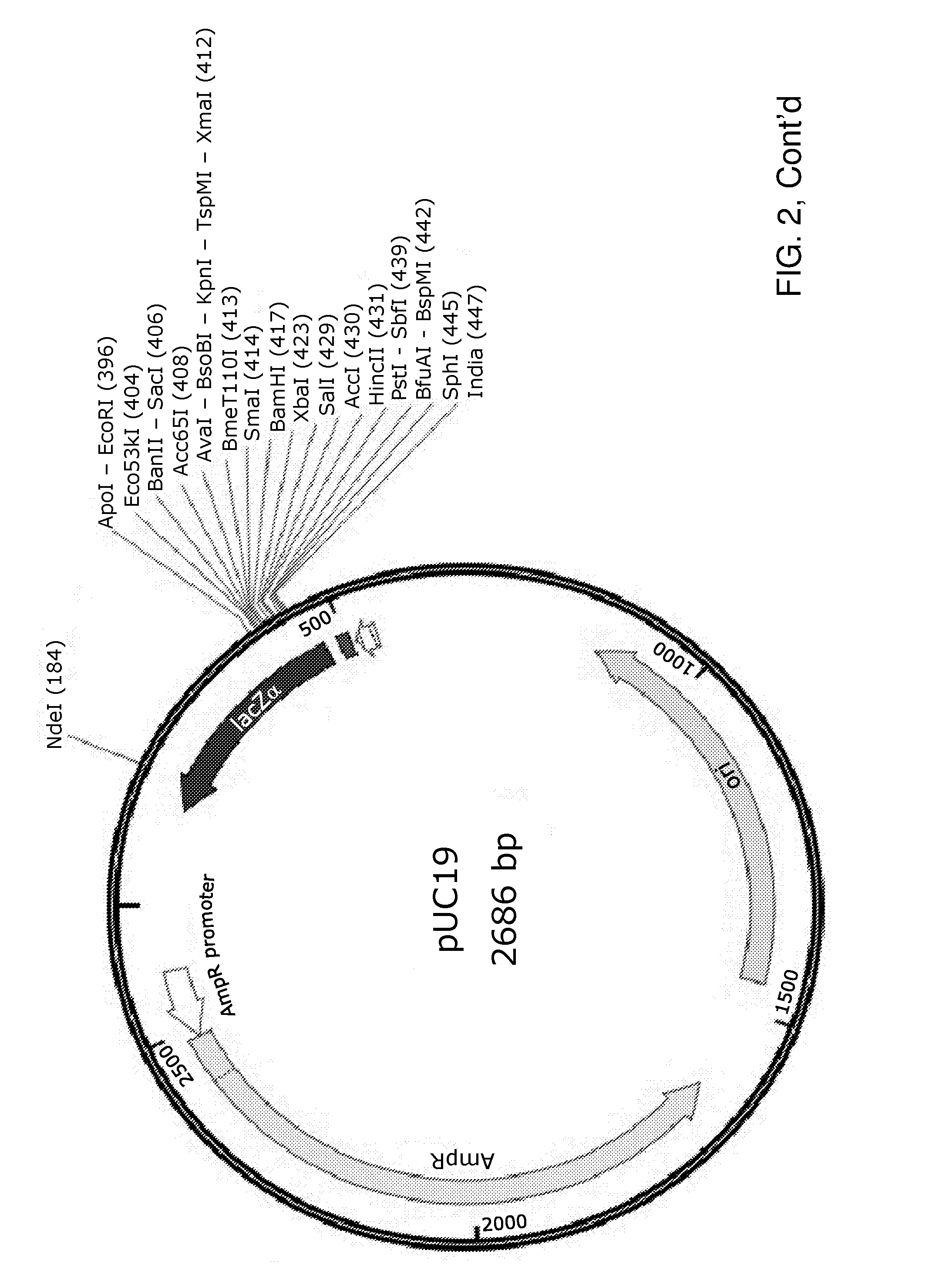 Novel genome alteration system for microorganisms