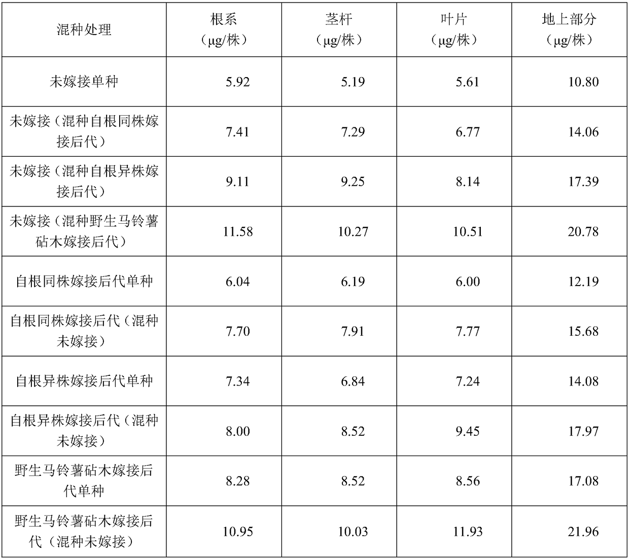 Method of mixed planting of grafted progeny of Solanum photeinocarpum Nakamura et odashima for increasing cadmium accumulation of Solanum photeinocarpum Nakamura et odashima