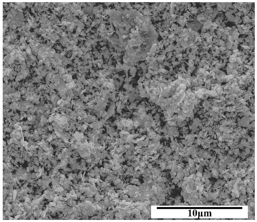 High-activity metal powder anti-oxidation drying device and method