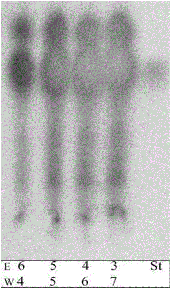 High-aroma instant tea and preparation method thereof