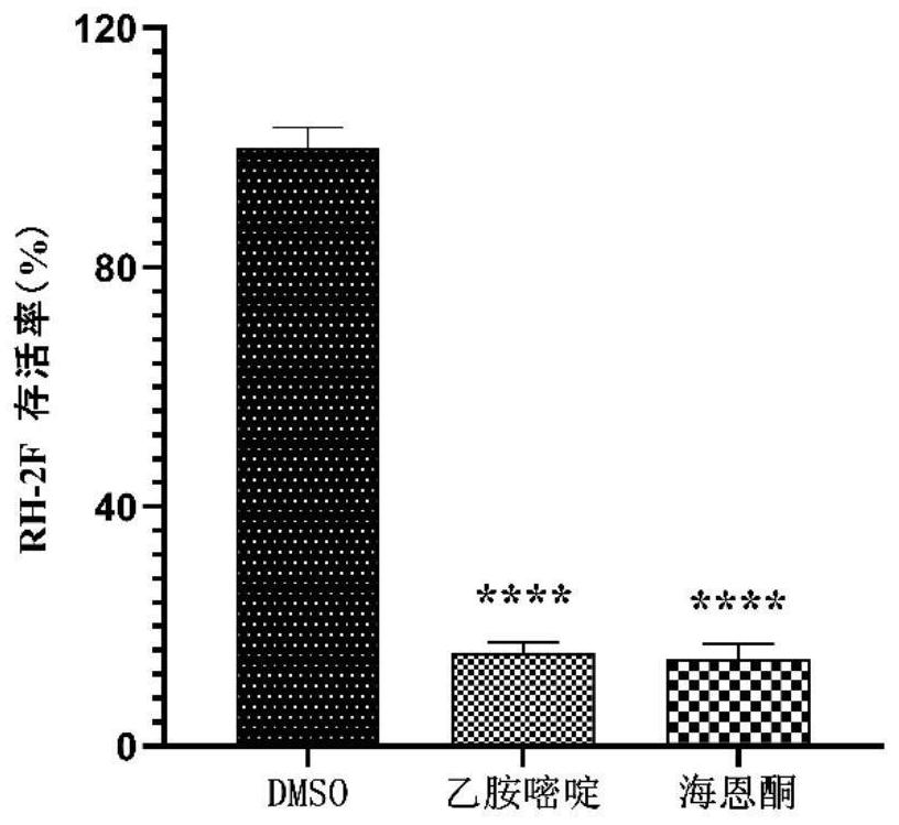 Application of hycanthone in preparation of medicine for treating toxoplasma gondii infection diseases