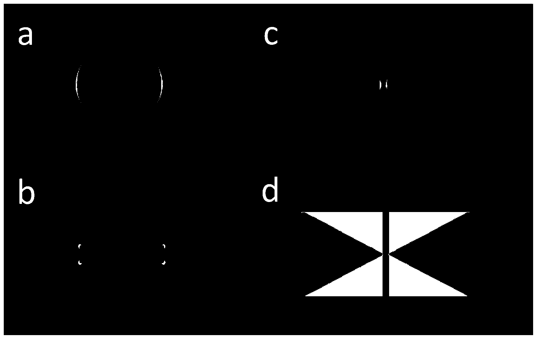 Two-dimensional periodic V-shaped metal plasma resonance structure and method for manufacturing same