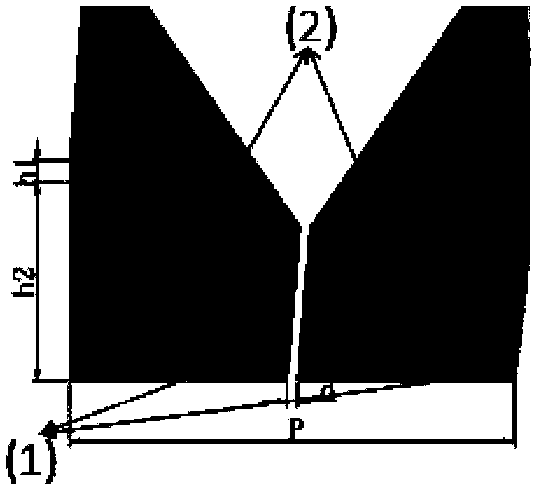 Two-dimensional periodic V-shaped metal plasma resonance structure and method for manufacturing same