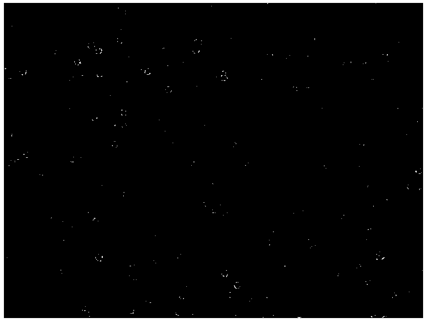 A kind of contrast agent and its preparation method