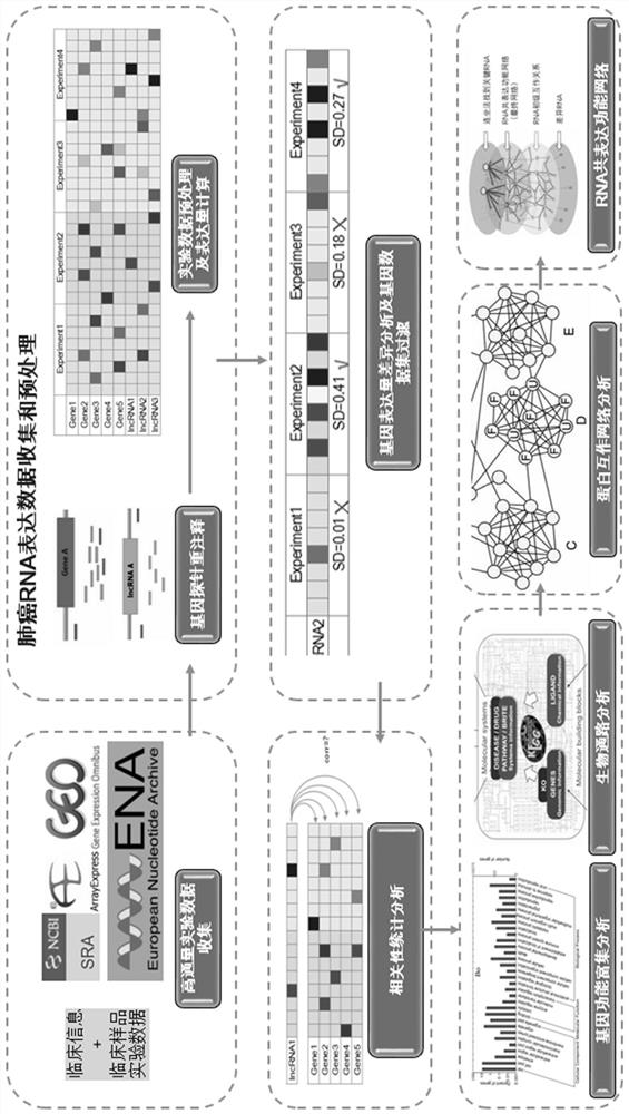 Method for key RNA function mining based on high-throughput experimental data mining