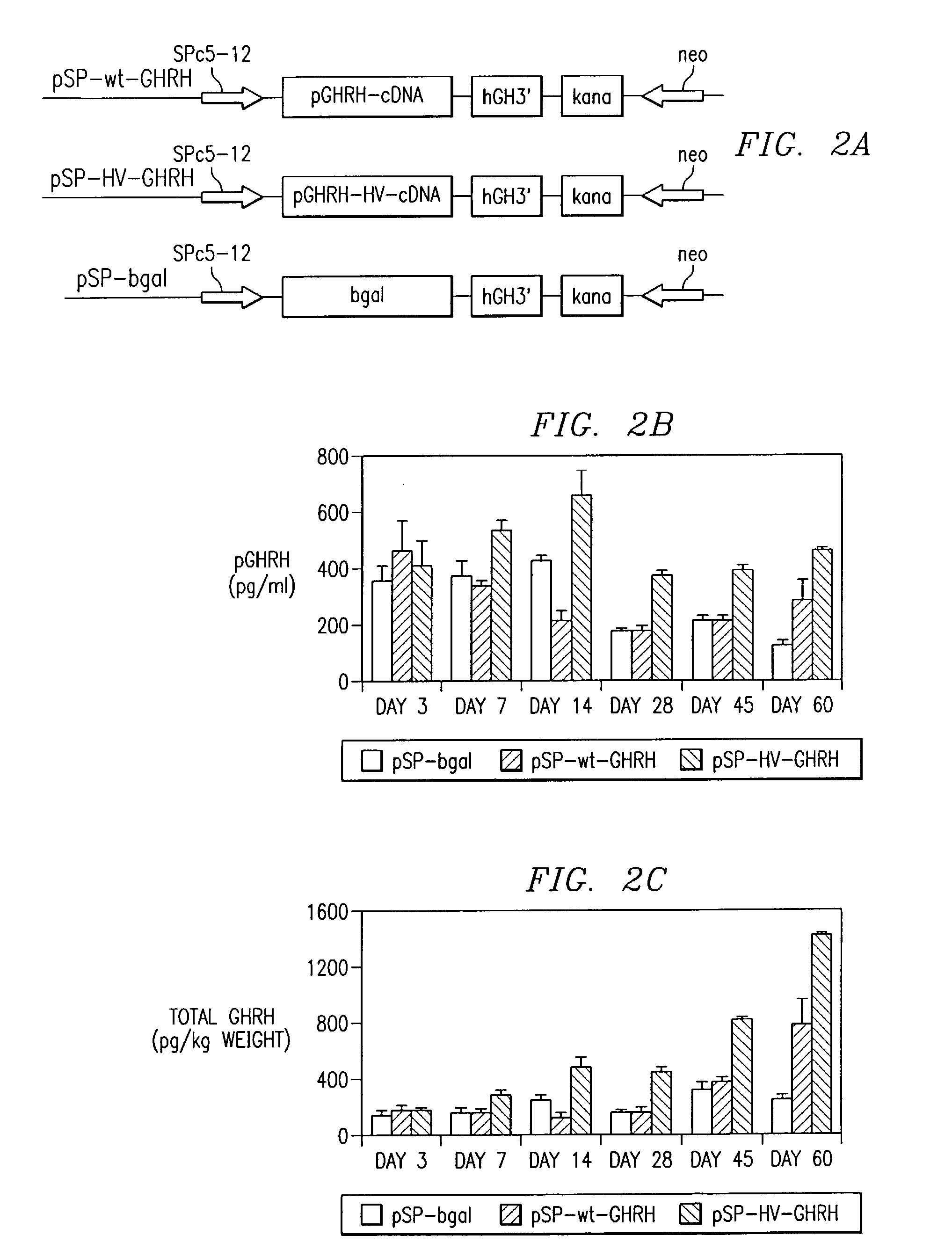 Polynucleotides encoding a super-active porcine growth hormone releasing hormone analog