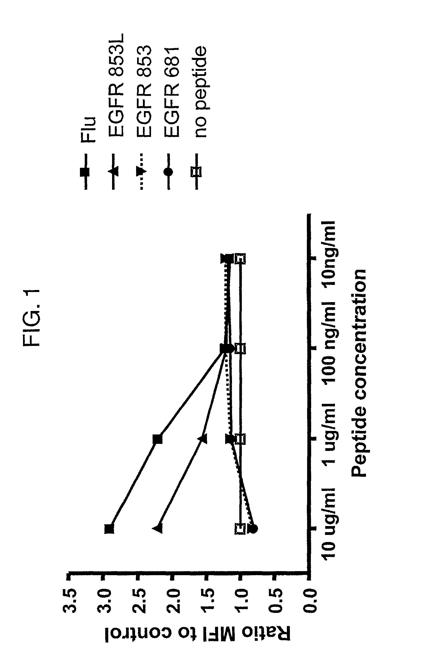 Cytotoxic T cell defined EGFR peptide and an optimized derivative peptide