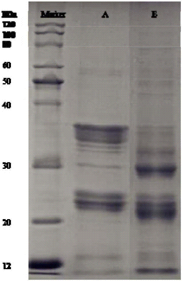 Method for producing naked barley puffed and crisp food by means of hot air-microwave combined drying