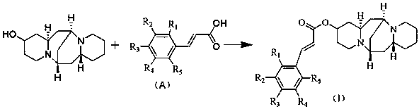 13-hydroxyl cytisine cinnamate ester compound having antitumor activity and preparation method thereof