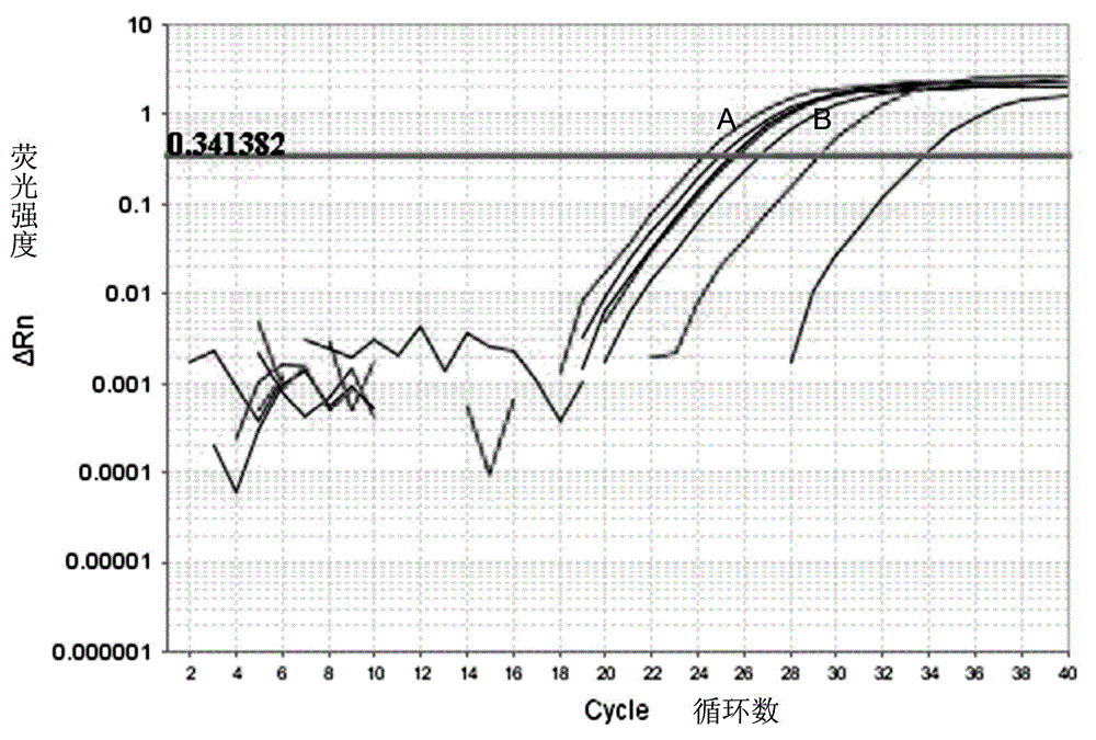 Fluorescent quantitative PCR detection method of spring viraemia of carp virus