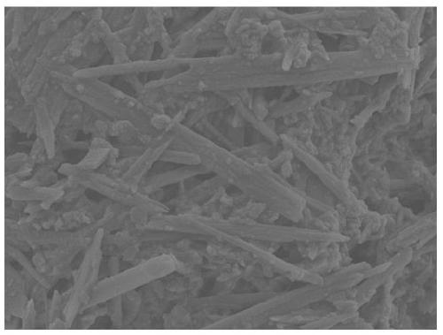 Preparation method and application of rod-like nickel disulfide-molybdenum disulfide nano-composite