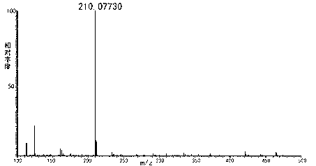 Method for preparing natural pyrrole derivative from plant brassica rapa L. by extraction, purification and separation