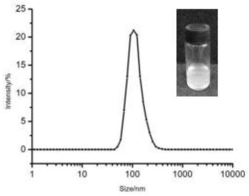 A kind of nanoparticle with synergistic and attenuating effect on anemone lactones and its preparation method and application