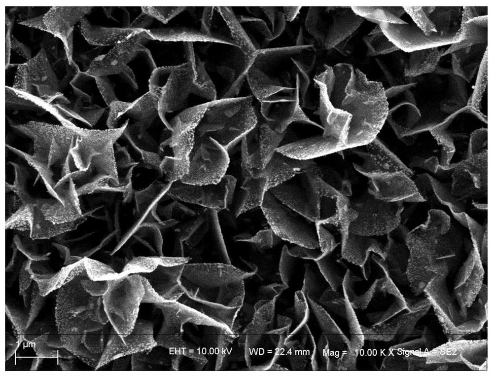 Gold-platinum co-modified graphene electrode and its preparation method and application