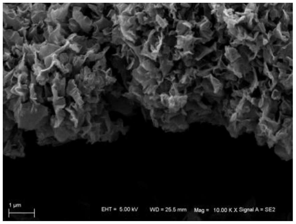 Gold-platinum co-modified graphene electrode and its preparation method and application