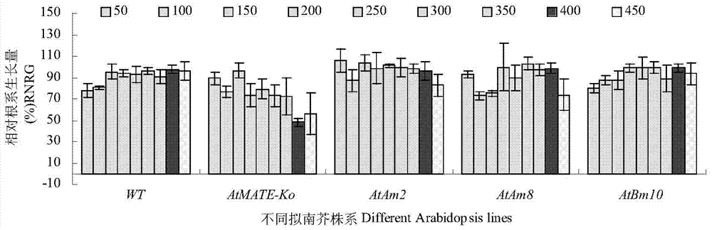 Application of Peanut ahfrdl1 Gene in Improving Plant Resistance to Aluminum Toxic Stress