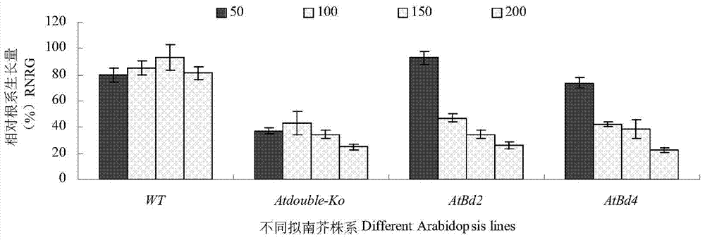 Application of Peanut ahfrdl1 Gene in Improving Plant Resistance to Aluminum Toxic Stress