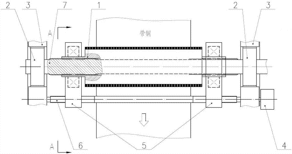 Brush roll with double bearing housing