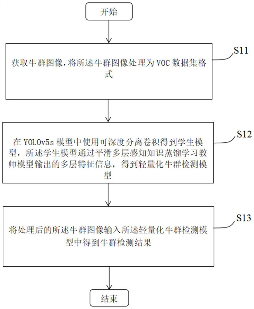 Lightweight cattle herd detection method and device based on DC-SMKD