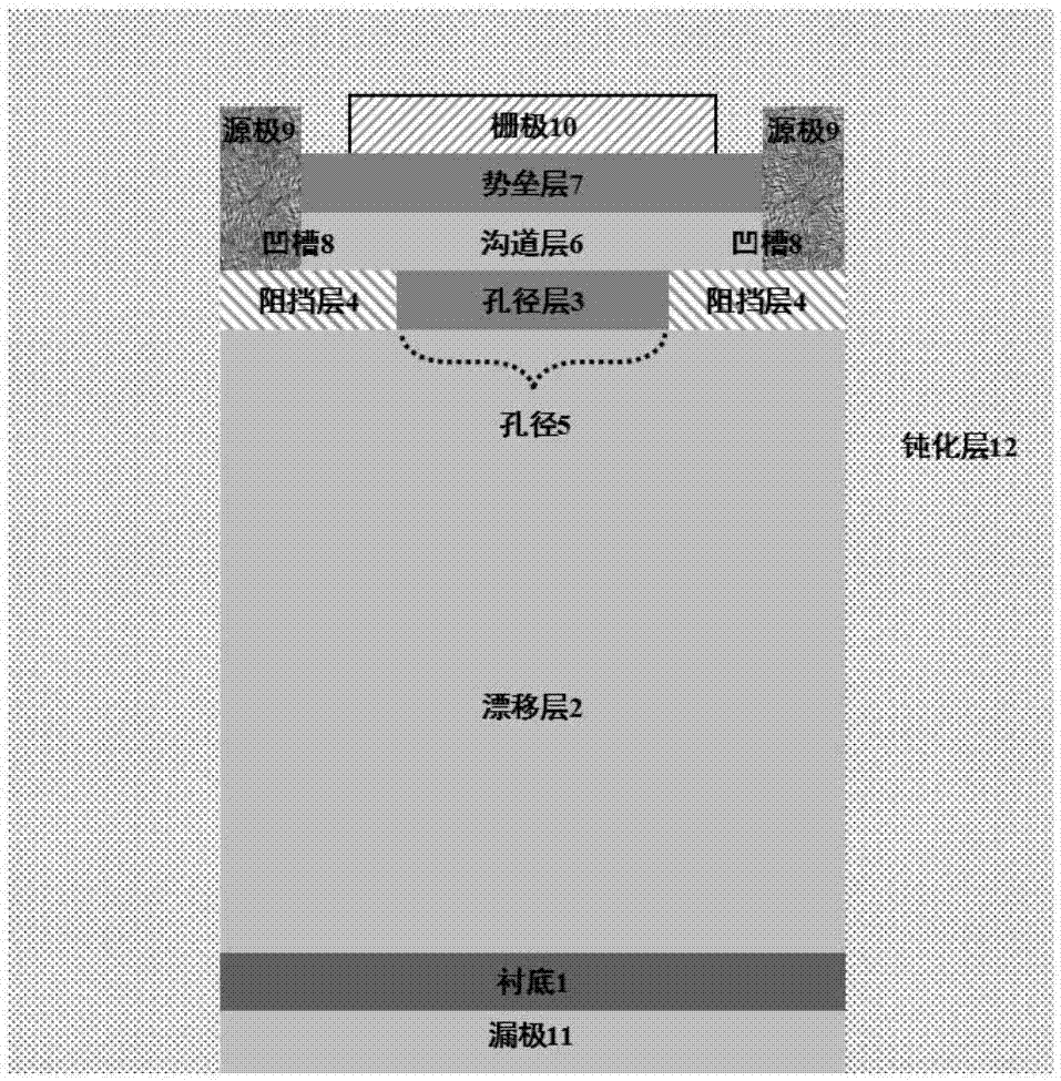 Vertical power transistor based on arc leakage field plate and Schottky drain electrode