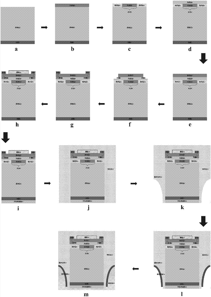 Vertical power transistor based on arc leakage field plate and Schottky drain electrode