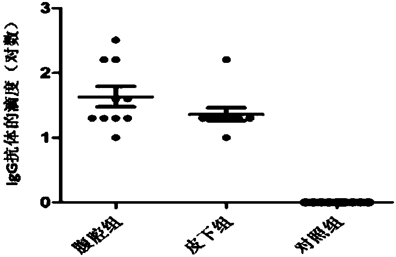 Vaccine for preventing and treating diseases caused by Acinetobacter baumannii and preparation method thereof