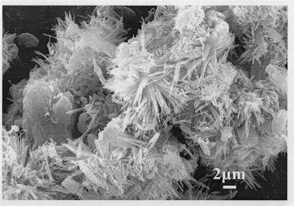 Hierarchical pore ZSM-5 molecular sieve with nanosheet layer structure and synthesis method thereof