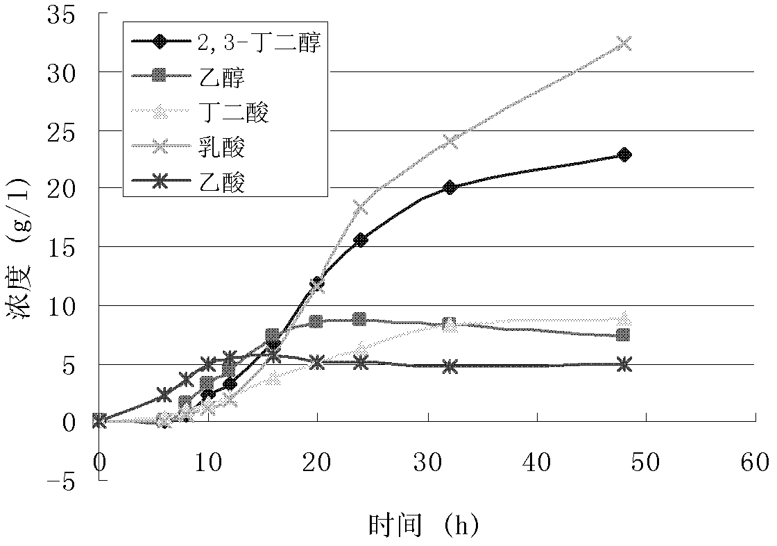 Method for producing 1, 3-propanediol through fermentation