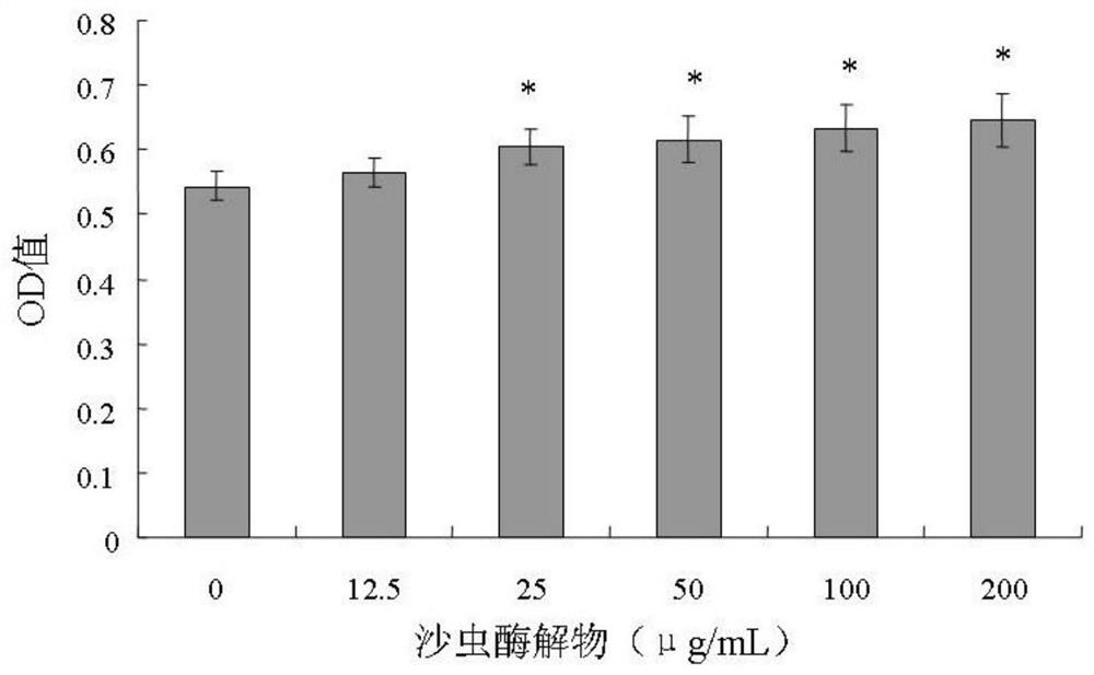 Application of sandworm enzymatic hydrolyzate in the preparation of medicines or health care products for preventing and treating osteoarthritis