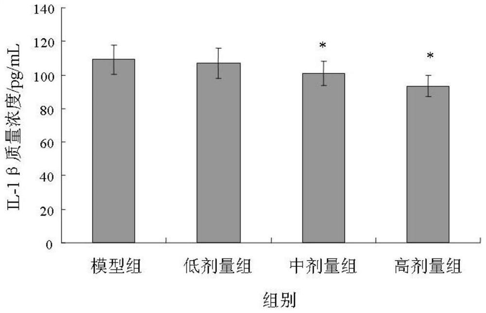 Application of sandworm enzymatic hydrolyzate in the preparation of medicines or health care products for preventing and treating osteoarthritis