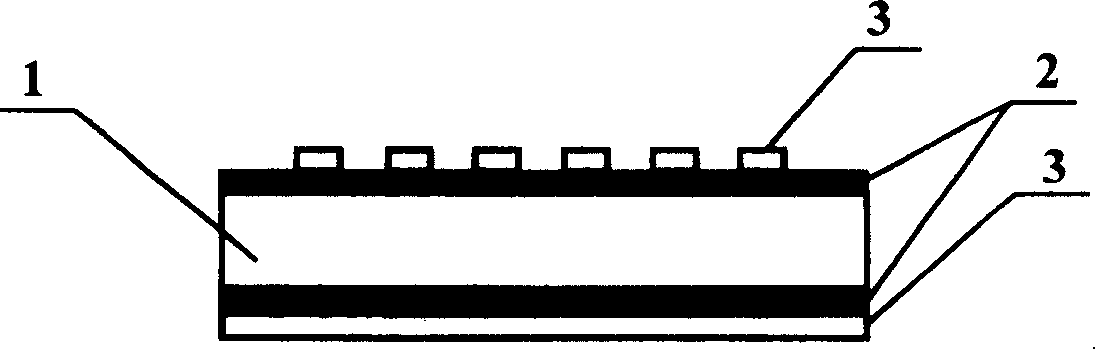 Epidermis needle and its preparing method