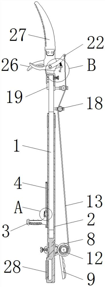 High branch scissors convenient to adjust