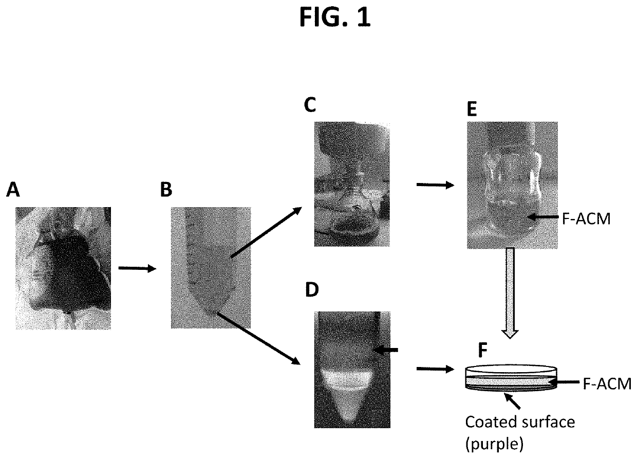 Methods of primary tissue culture and drug screening using autologous serum and fluids