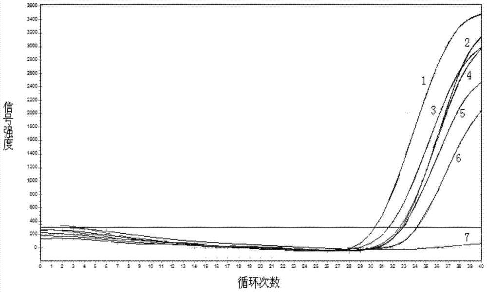 Primers, kit and pcr method for detecting polymorphism of apoe gene