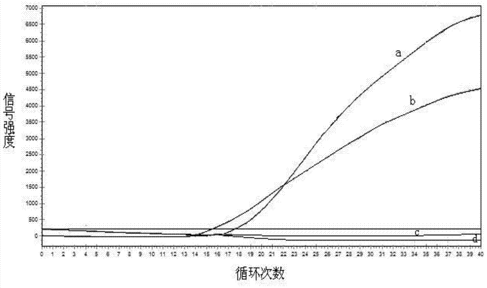 Primers, kit and pcr method for detecting polymorphism of apoe gene