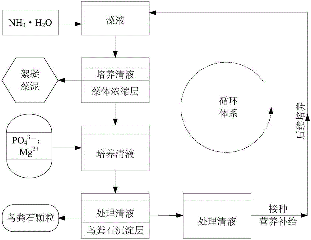 Microalgae cycling breeding technology