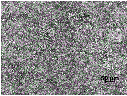 A kind of 160mm thick q235c low compression bit thick steel plate and its preparation method