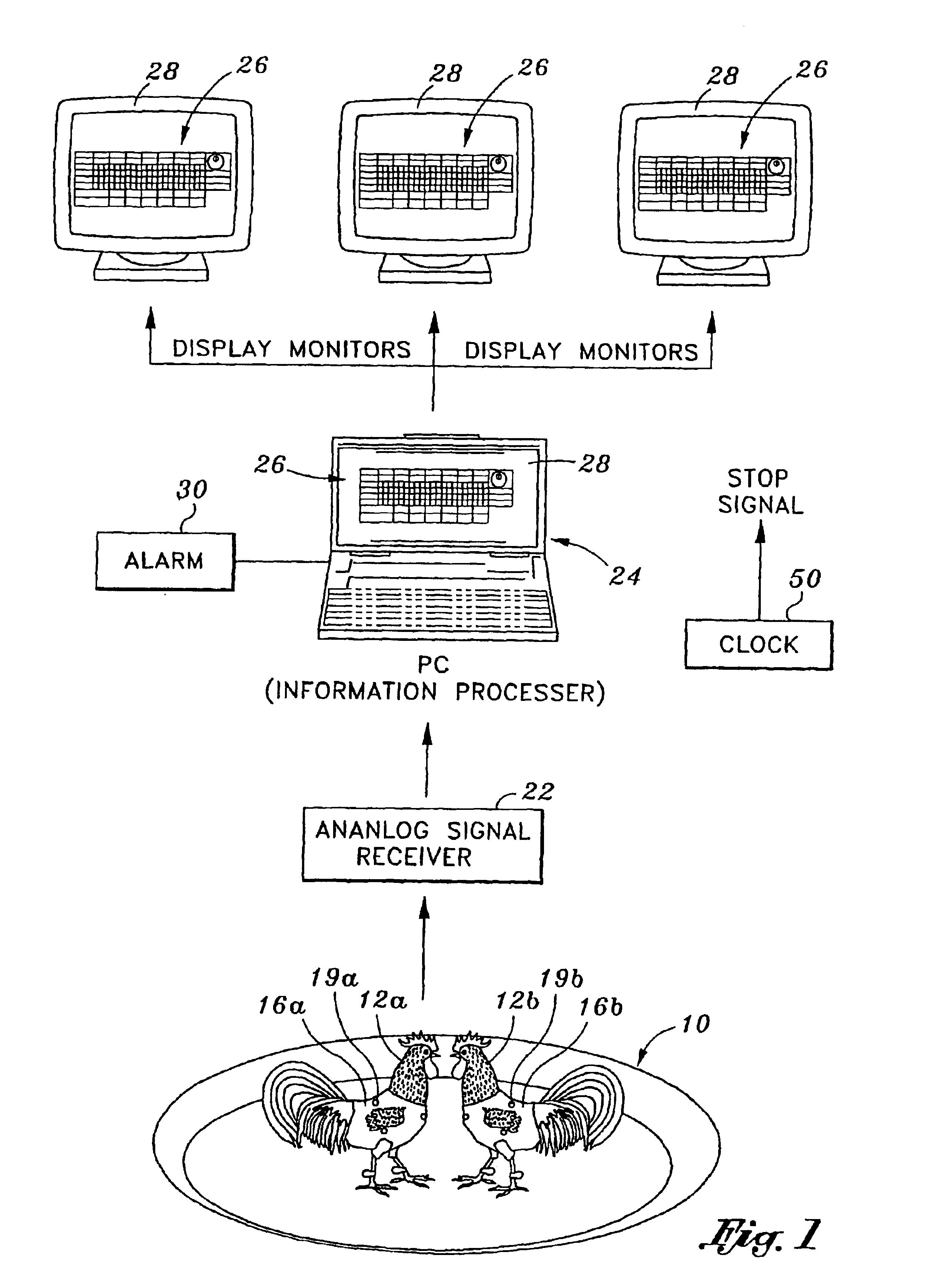 Non-lethal gamecock sparring match, equipment & methods