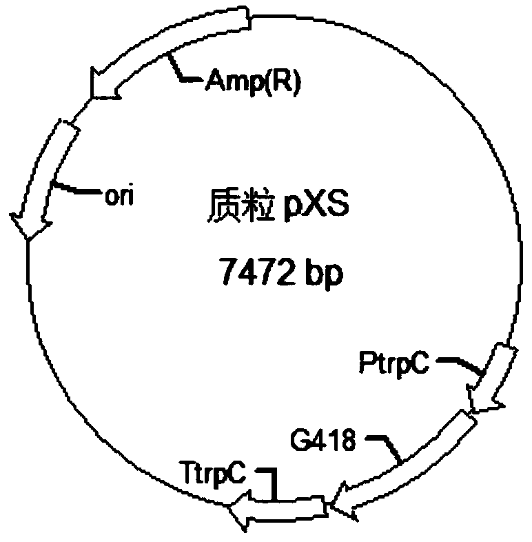 Method for improving extracellular pigment of Monascus