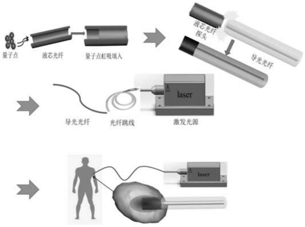 Endogenous photothermal therapy device system with micro-nano quantum dots and preparation method of system